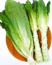 зелена салата