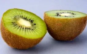 immunrendszerét