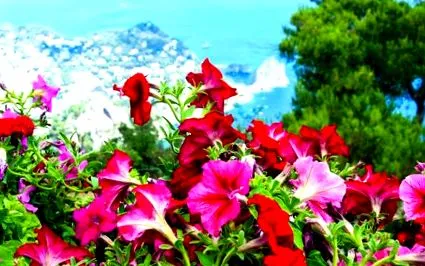 capri-sziget útikalauz