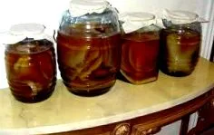kombucha