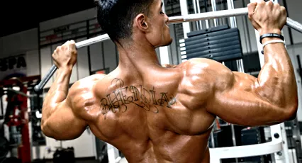 Weider Románia