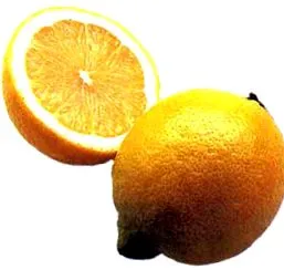 segítség
