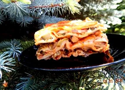 növényi