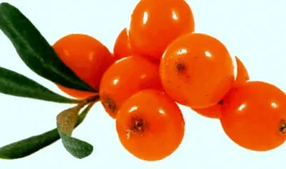 mostoha