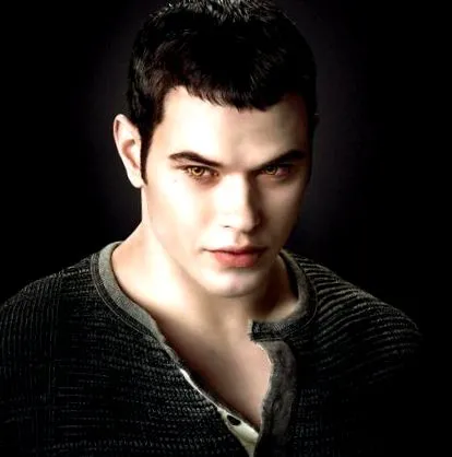 twilight saga