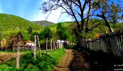 mája