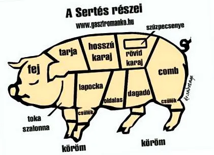 свински свински