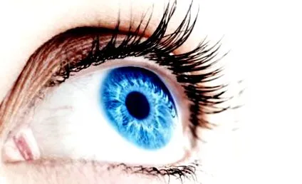очного яблука
