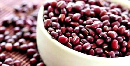 adzuki bean