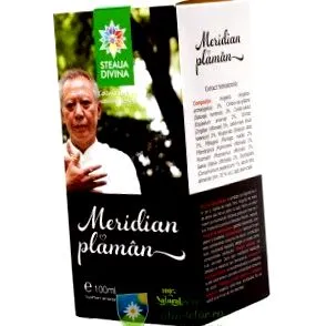 Meridian Plaman meridian