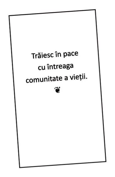 твојот
