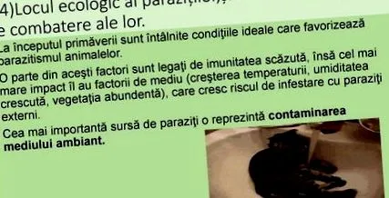 медицина інститут