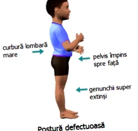 legfontosabb