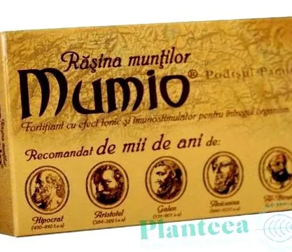 мумио болести