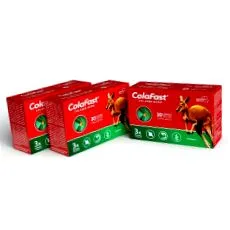 italia italia