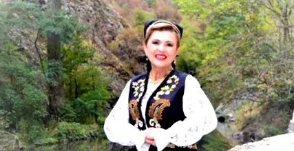воица