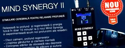 elme-szinergia