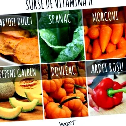 vegánska
