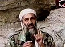 szerv szerv