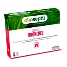 bronches