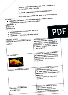 предотвратяване заповед