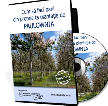 lehetőségek