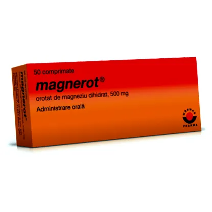 w04048001 magnerot