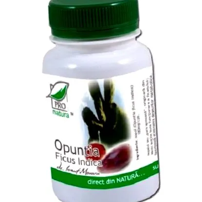 opuntia