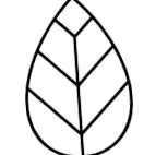kefe