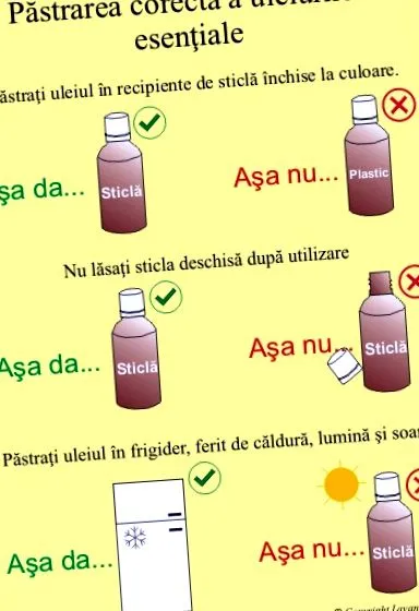 tartósítása tartósítása