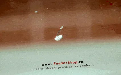 shop feeder