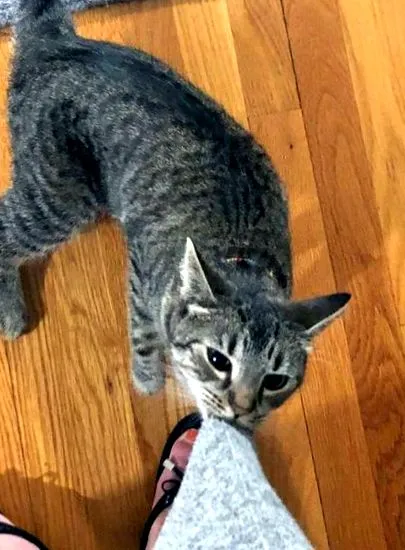 megkapnak mindent