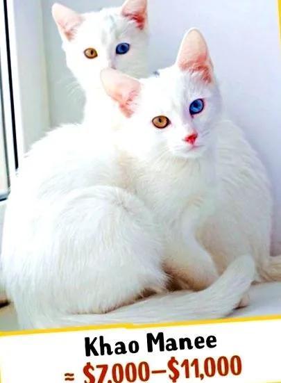néhányan elérik