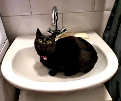 mindent megkapnak
