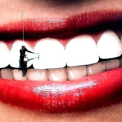 reguli pentru