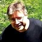 fülbemászó disznók