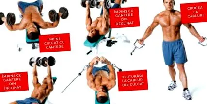 fit4pro fit4pro