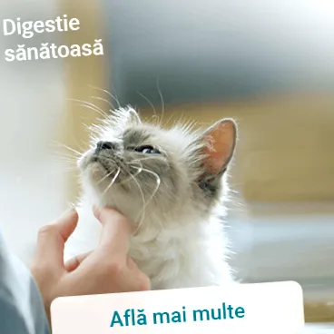 výživovo