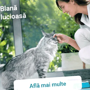 vyvážené