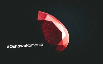 ohsawa kúrák