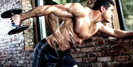 weider