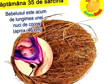 terhesség hete