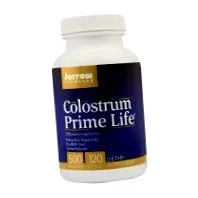 colostrum