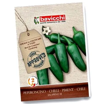chilli chilli