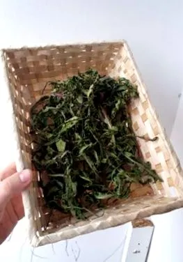 багаторазове