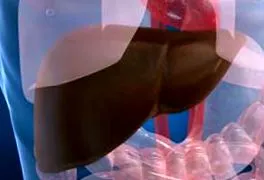 охорони печінки