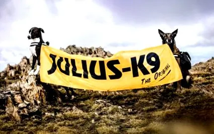 julius-k9 диета