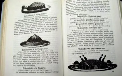 книги унгарските