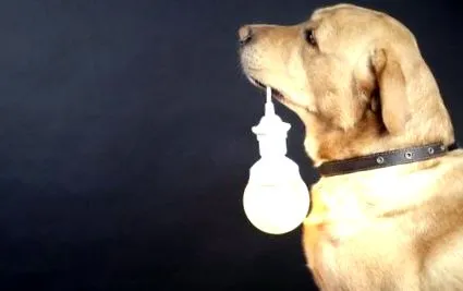 luminoasă poluare