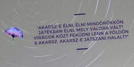 плеймейт дали